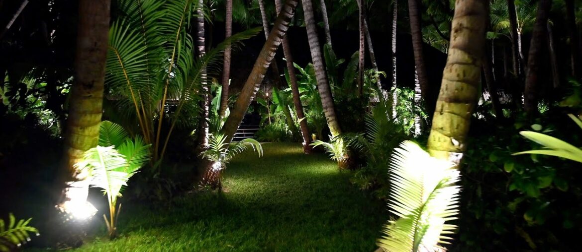 Motu Tane Tropical Nightlife | Bora Bora, French Polynesia | Marcus Anthony & Bob Hurwitz | Part 9 Motu Tane Tropical Nightlife | Bora Bora, French Polynesia | Marcus Anthony & Bob Hurwitz | Part 9