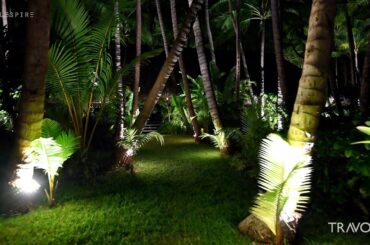 Motu Tane Tropical Nightlife | Bora Bora, French Polynesia | Marcus Anthony & Bob Hurwitz | Part 9