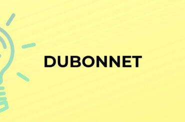 What is the meaning of the word DUBONNET?