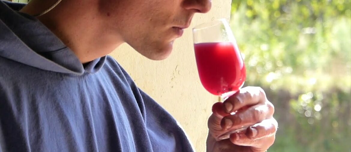 The Art of Making Wine: A Search for Harmony The Art of Making Wine: A Search for Harmony