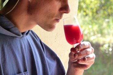 The Art of Making Wine: A Search for Harmony