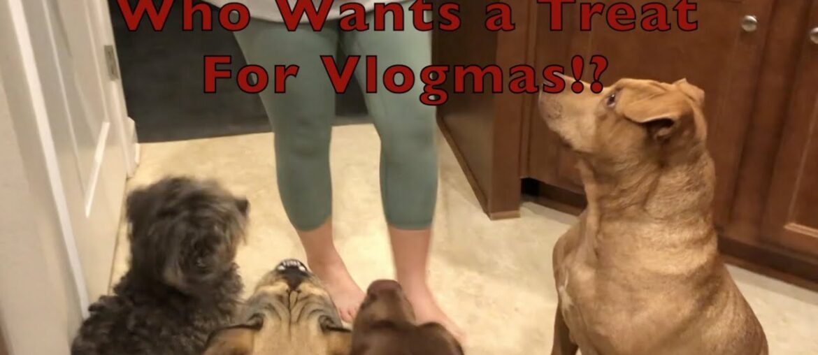 Vlogmas 2020 Gourmet Designer Dogs & Decorating the Christmas Tree