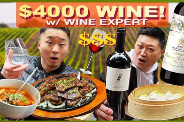WHY ASIANS SHOULD DRINK MORE WINE w/ the YOUNGEST ASIAN WINE EXPERT!