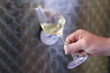 france wine producer france moselle contz les bains domaine sontag producteur de vin