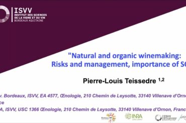 Natural and Organic Winemaking: Risks and Management, Importance of SO2