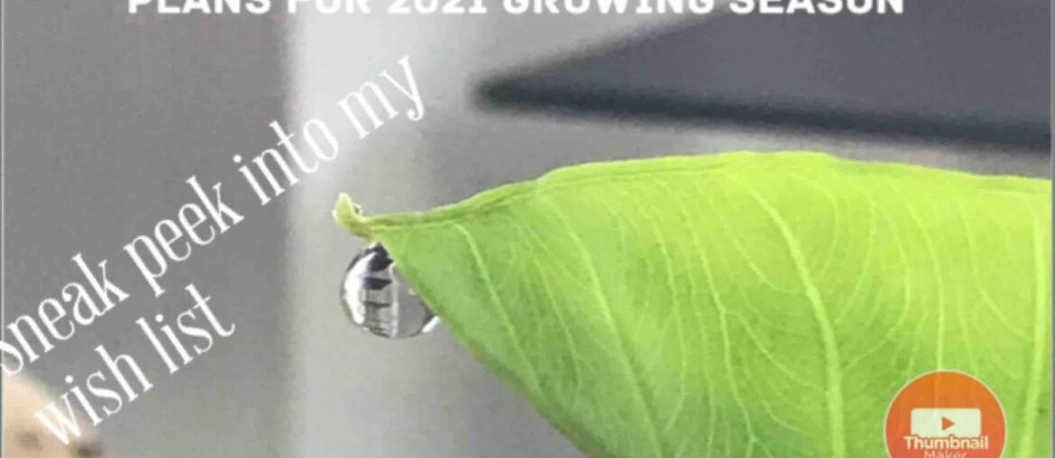 Allotment plans for 2021 season