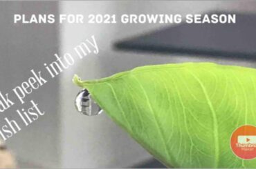 Allotment plans for 2021 season