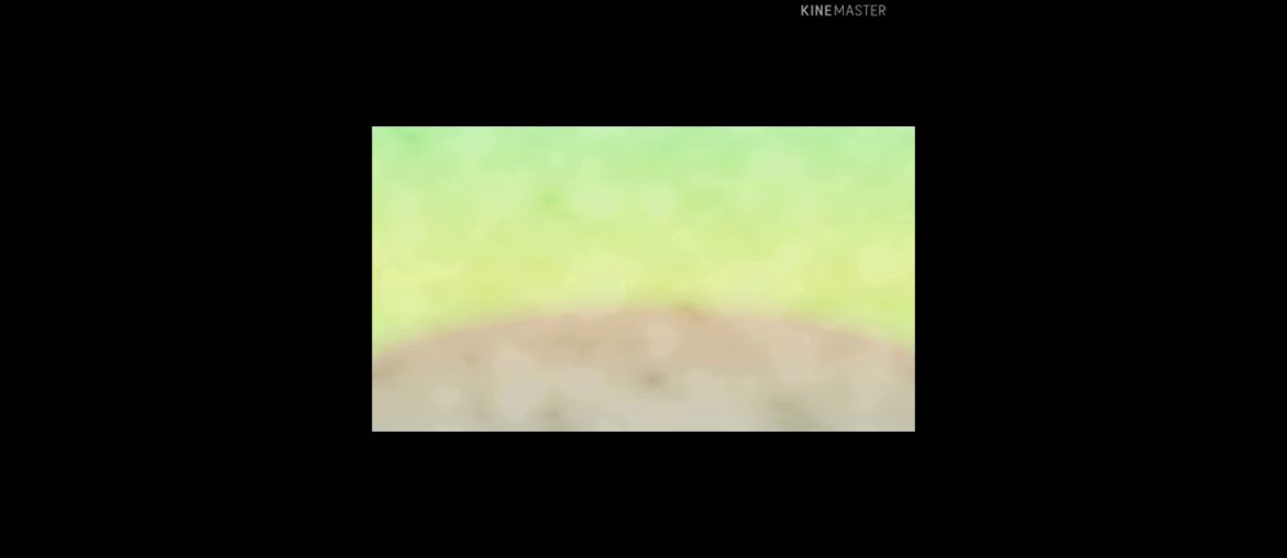 Potato French fries recipe