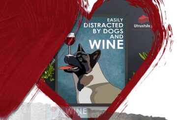 BUY Dog american akita easily distracted by dogs and wine poster