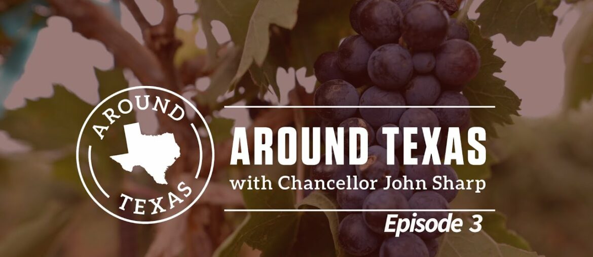 Texas A&M Supports Growing Wine & Whiskey Businesses