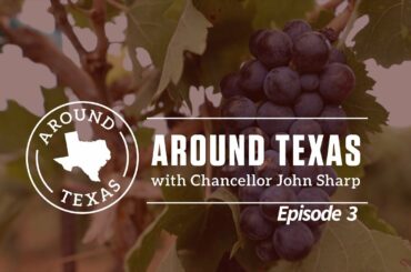 Texas A&M Supports Growing Wine & Whiskey Businesses