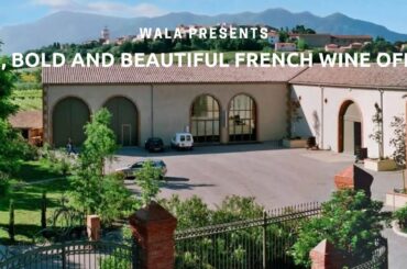 BIG, BOLD and BEAUTIFUL FRENCH WINE OFFER