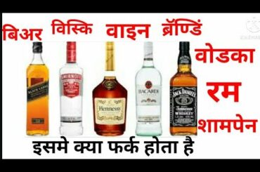 Difference between beer, whiskey, wine, Brandy, vodka, rum and champagne.