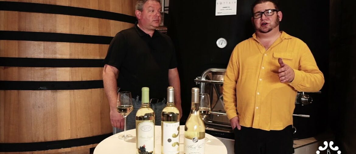 BOTTAIA Winery | Pinot Gris vs Pinot Grigio BOTTAIA Winery | Pinot Gris vs Pinot Grigio