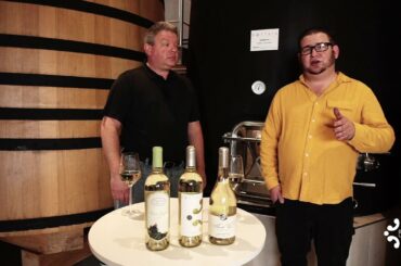 BOTTAIA Winery | Pinot Gris vs Pinot Grigio
