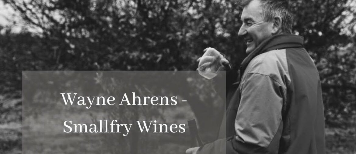 Smallfry Wine -  Barossa Shiraz