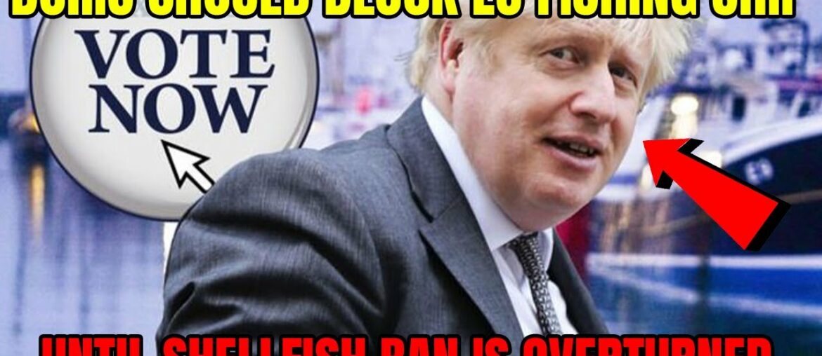 Should Boris block EU fishing ship until shellfish ban is overturned
