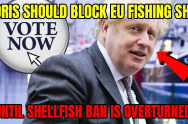 Should Boris block EU fishing ship until shellfish ban is overturned