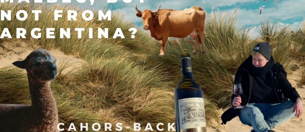 Cahors – the real home of Malbec. Clos Triguedina 2017 Cahors - the real home of Malbec. Clos Triguedina 2017