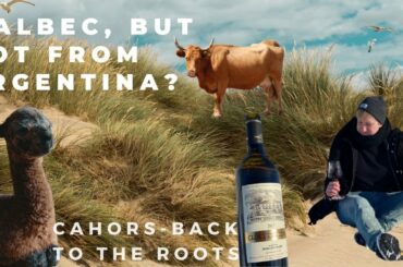 Cahors - the real home of Malbec. Clos Triguedina 2017