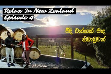We slept in a fabulous New Zealand Vineyard | Maori Point Pinot Noir | Clutha river