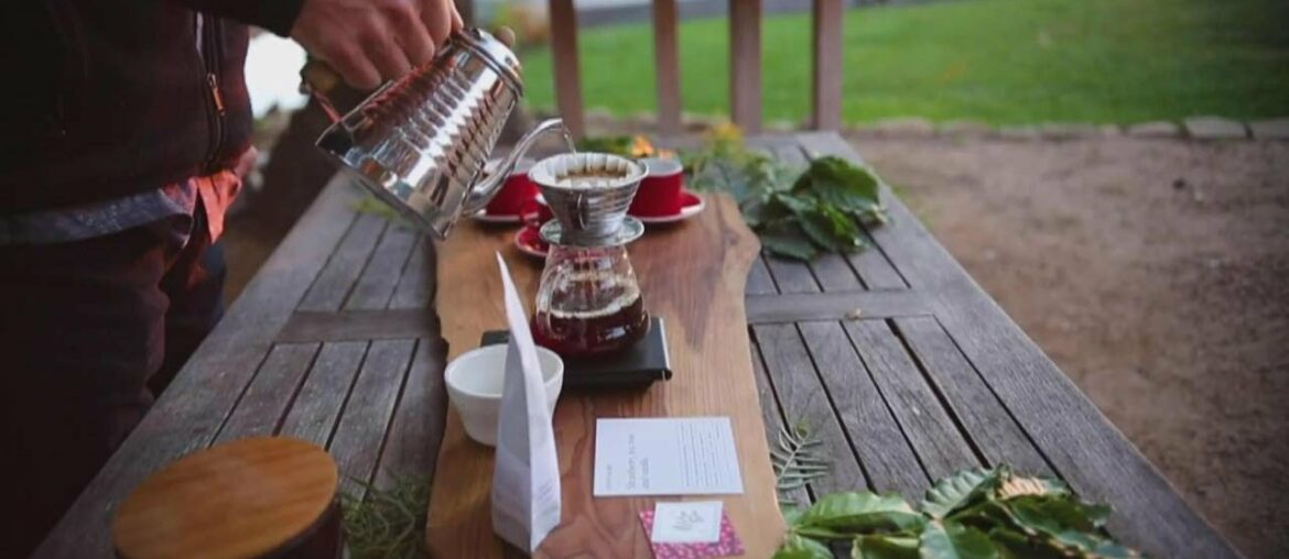 California farmers grind their way into the coffee industry