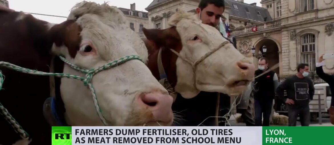 'Restriction on freedoms' | Farmers protest removal of meat from school menus 'Restriction on freedoms' | Farmers protest removal of meat from school menus