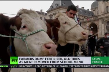 'Restriction on freedoms' | Farmers protest removal of meat from school menus