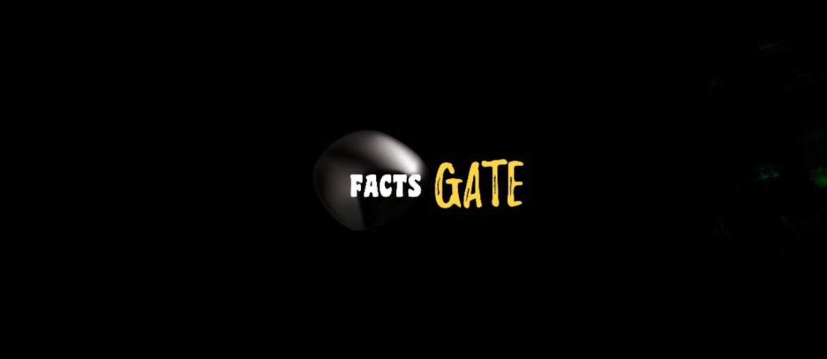 Facts Gate I Intro of Facts Gates | #3Dintro #intro #factsgate #ytintro #facts #outro Facts Gate I Intro of Facts Gates | #3Dintro #intro #factsgate #ytintro #facts #outro