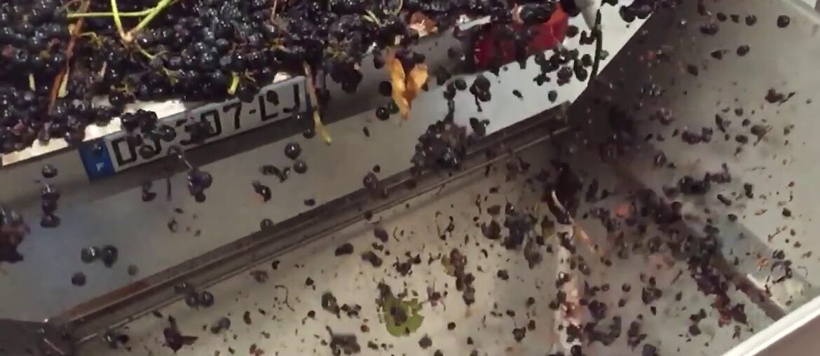 Egrappoir – Destemmer Egrappoir - Destemmer