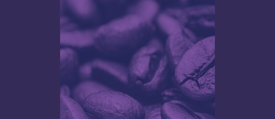 Inspiring Jazz Quartet - Vibe for French Restaurants