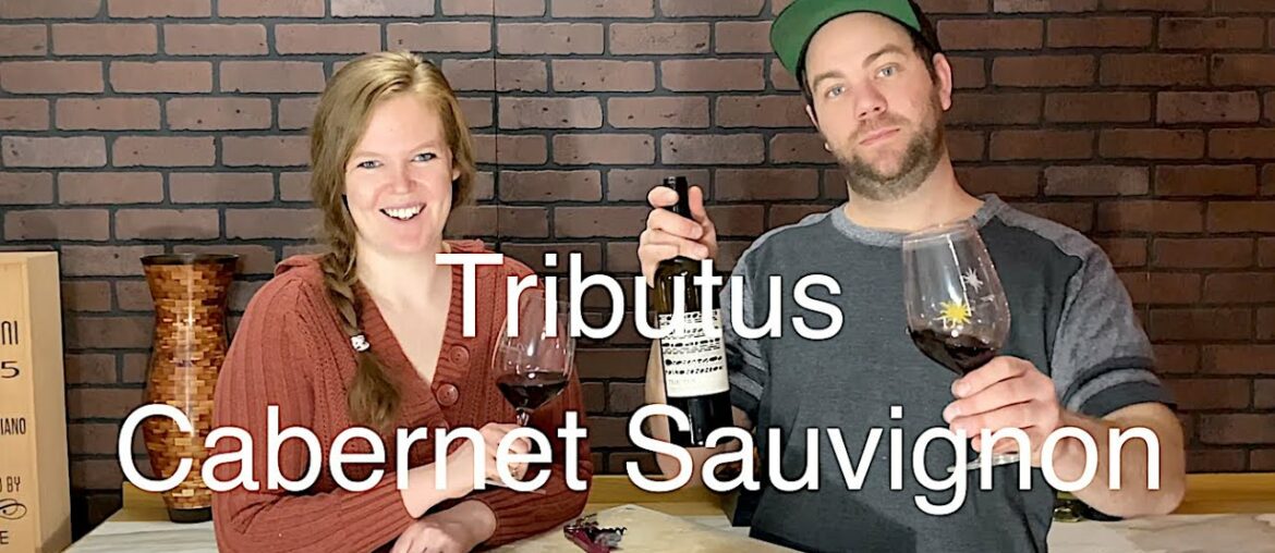 Crowd Pleasing Cabernet from Paso Robles // Tributus Wine Review Crowd Pleasing Cabernet from Paso Robles // Tributus Wine Review