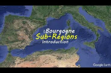 Bourgogne Sub-regions Introduction | French wine map | Wine study