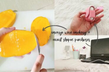 project: making mango wine, recent shopee purchases, new desk layout