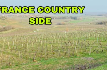 FRANCE | COUNTRY SIDE