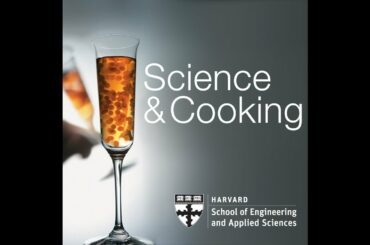 Modernist Cuisine at Home | Lecture 11 (2012)