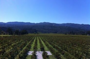 Corison Winery about Old school Napa Cabernet, by Alexandre Cuvillier