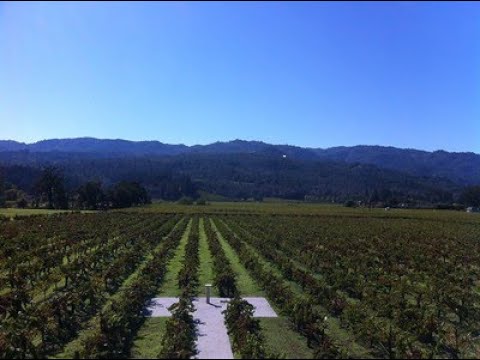 Corison Winery about Old school Napa Cabernet, by Alexandre Cuvillier Corison Winery about Old school Napa Cabernet, by Alexandre Cuvillier