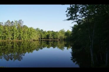 Open House at New Listing in Providence Glen - 8003 Avanti Dr!