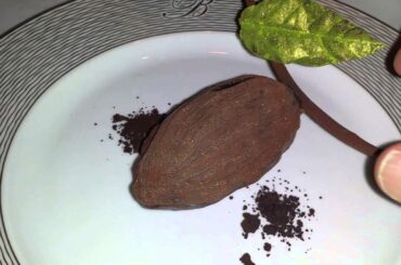 Le Bristol Paris Dining