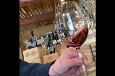 Tasting Red Wine Chateauneuf du Pape 2021 #shorts