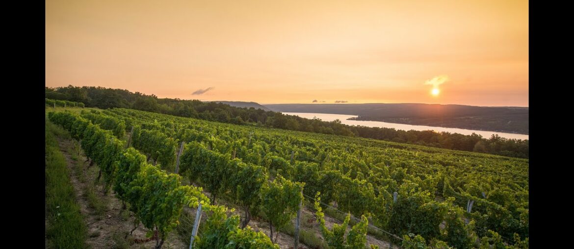 Virtual Wine Tasting in the Finger Lakes with Barbara Frank from the Dr. Konstantin Frank Winery.