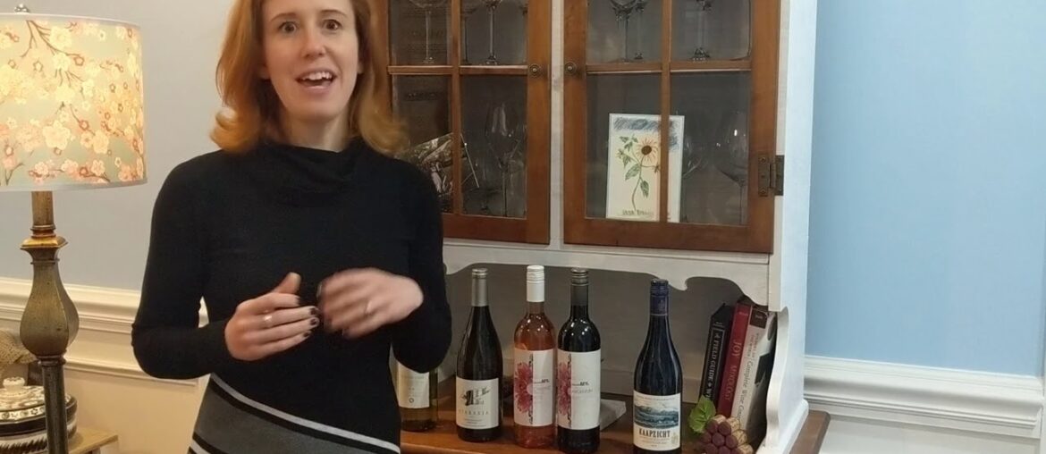 Wine Class Short: Alyssa Wolf of Red Wolf Imports talks about South African  wines (part 2)
