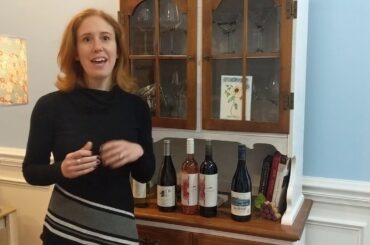 Wine Class Short: Alyssa Wolf of Red Wolf Imports talks about South African  wines (part 2)