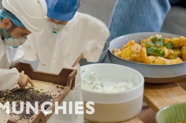 Insects Are The Future of Food