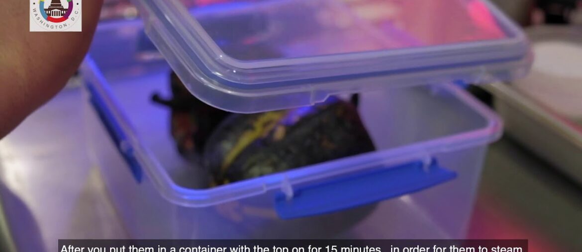 Gourmet ratatouille from the French Embassy Chef!