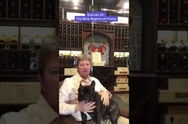Episode 24: French Wine Regions
