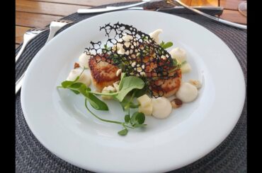 Finesse Barge Cruise Gourmet Dining