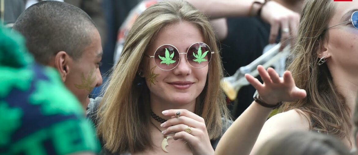 Cannabis or Champagne: Will Reims become France's first legal cannabis hub?