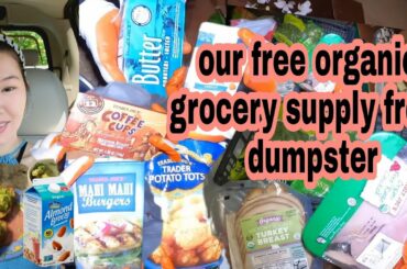 DUMPSTER DIVING AT OUR FAVORITE PLACE ALWAYS LUCKY TO FIND ORGANIC FOODS